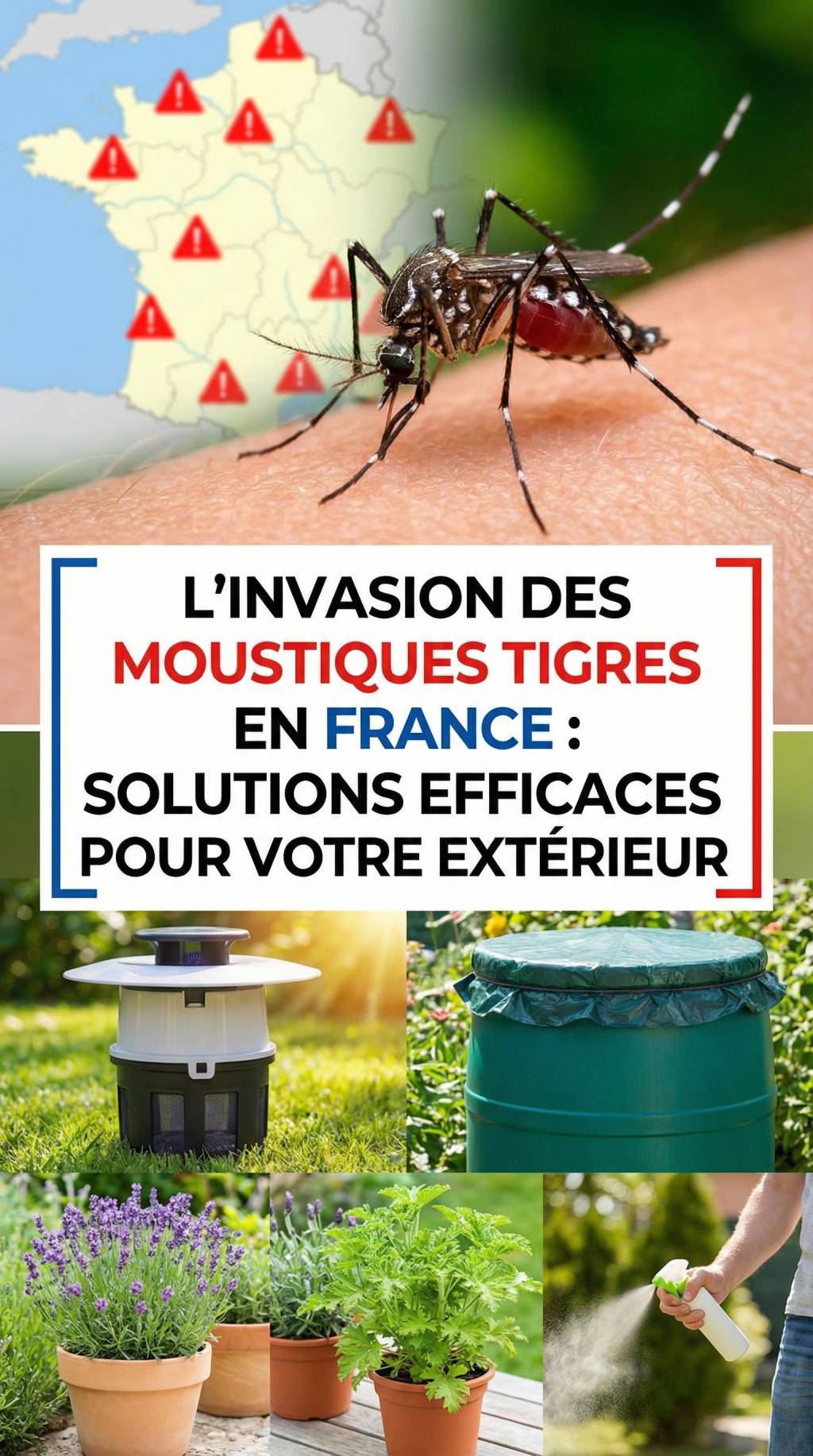 L&rsquo;invasion des moustiques tigres en France : solutions efficaces pour votre extérieur